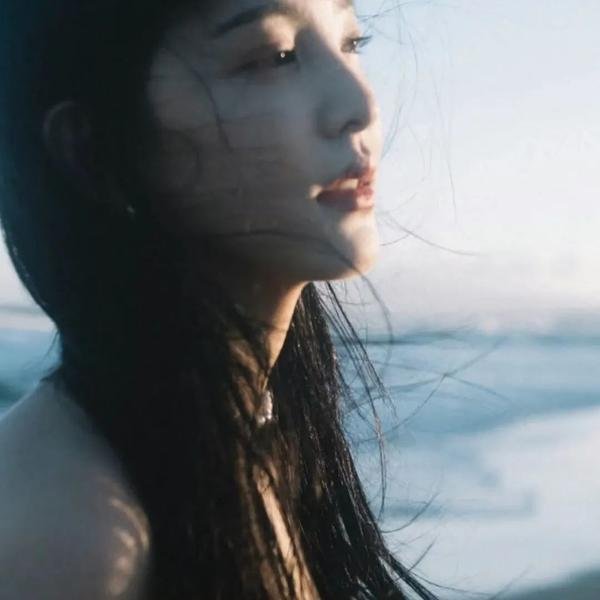 大象之梦